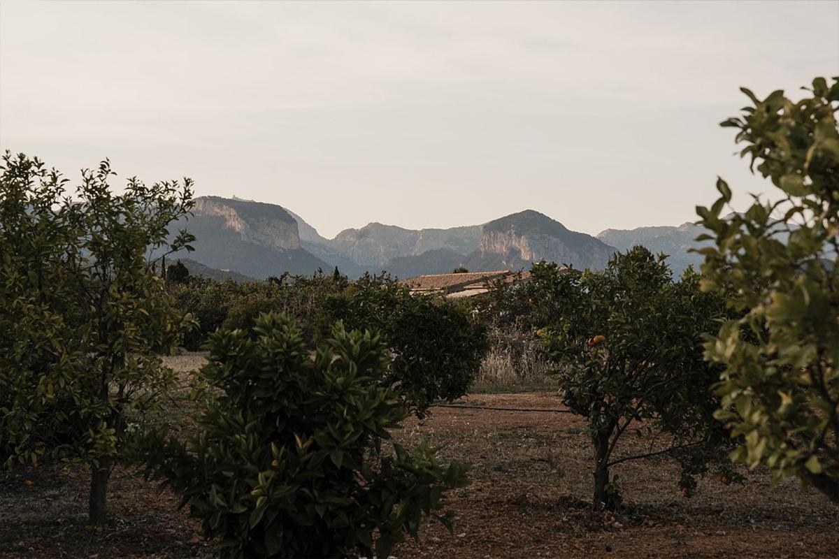 Bed and Breakfast La Farm Baleares (Adults Only) Santa Maria del Cami  Zewnętrze zdjęcie